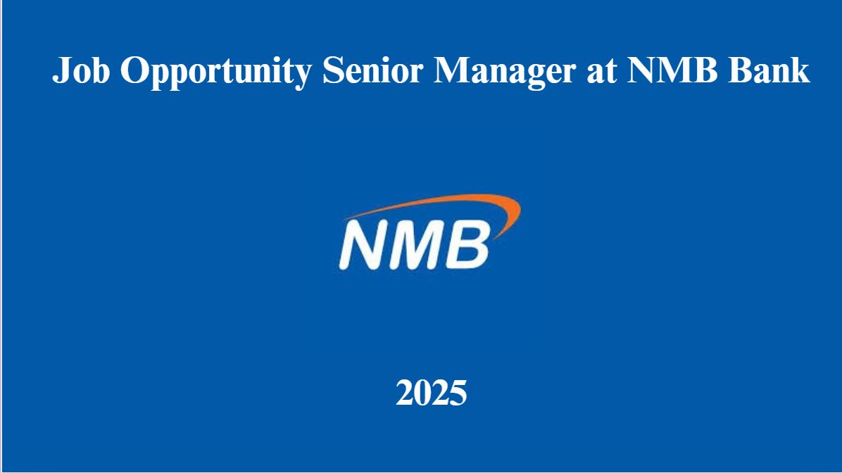 Job Opportunity Senior Manager at NMB Bank February 2025